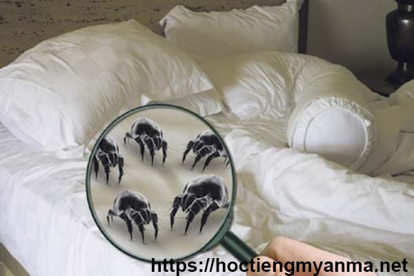 b&iacute; quyết chăm s&oacute;c nh&agrave; cửa với drap giường
