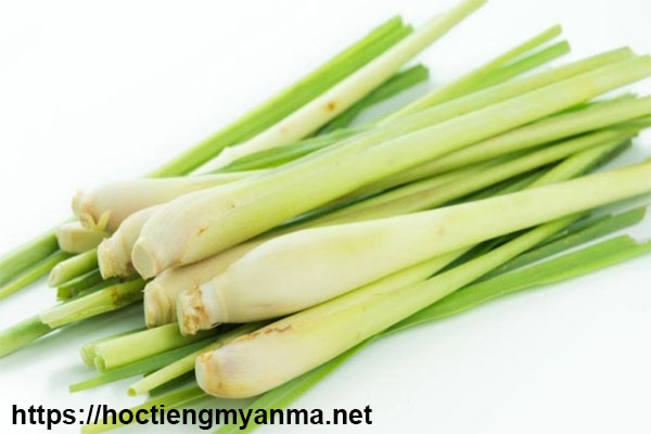 khử m&ugrave;i h&ocirc;i bằng sả để vệ sinh nh&agrave; cửa