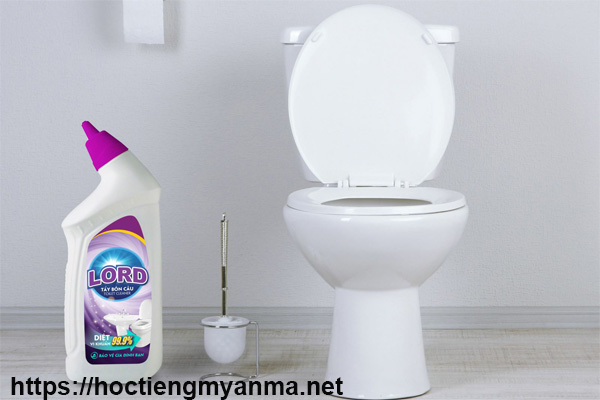vệ sinh s&agrave;n nh&agrave; với dung dịch tẩy rửa bồn cầu