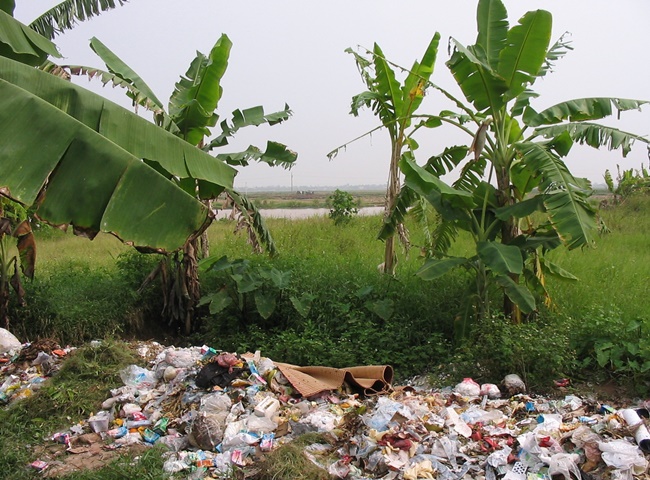 rác thải nông nghiệp