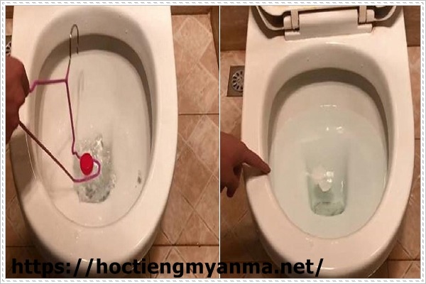 Nguyên nhân bồn cầu bốc mùi hôi