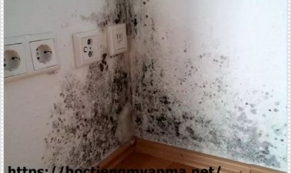 Cách loại bỏ dấu vết nấm mốc trong nhà hiệu quả