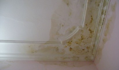 Water Seal DPC chống thấm tường nhà hiệu quả