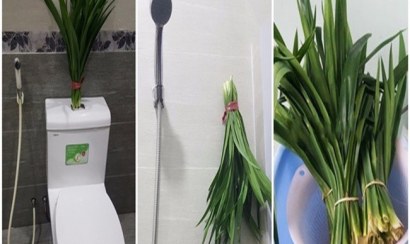 Cách khử mùi hôi nhà vệ sinh hiệu quả