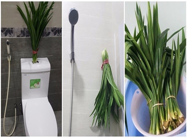 Cách khử mùi h&ocirc;i nhà v&ecirc;̣ sinh
