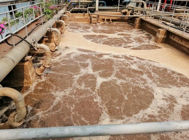 hướng dẫn nu&ocirc;i bun vi sinh