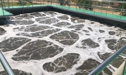 Hướng dẫn nuôi bùn vi sinh chi tiết và hiệu quả