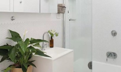 Các loại cây giúp khử mùi nhà vệ sinh hiệu quả nhất bạn nên biết