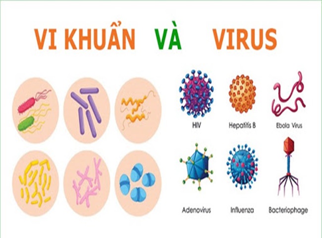 Khử m&ugrave;i nh&agrave; vệ sinh hiệu quả nhanh ch&oacute;ng