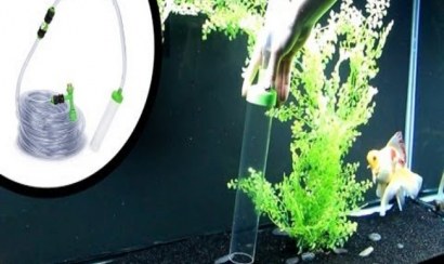 Mẹo vệ sinh hồ nước cực sạch sau 5 bước đơn giản, nhanh chóng 