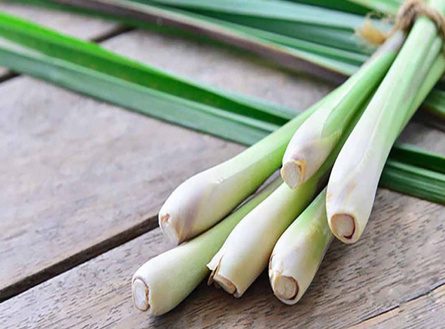 Nguy&ecirc;n nh&acirc;n ph&ograve;ng ngủ bị h&ocirc;i v&agrave; sả