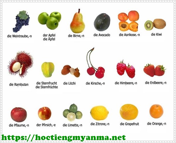 Học tiếng Đức từ vựng