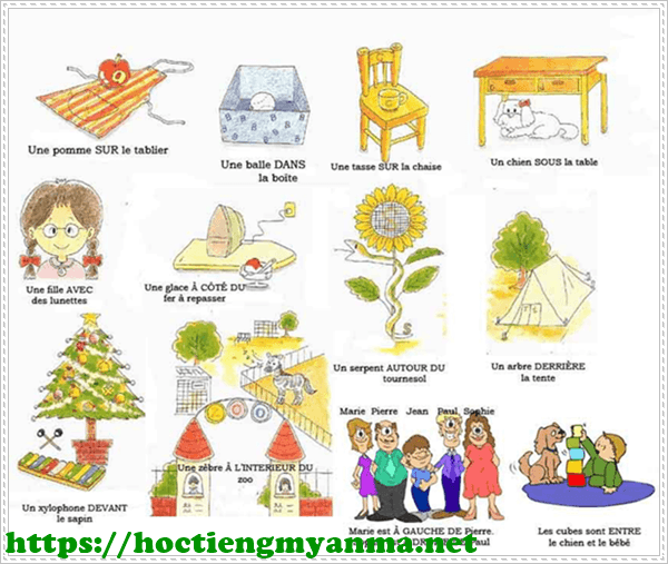 Học tiếng Ph&aacute;p với Duolingo tốt kh&ocirc;ng