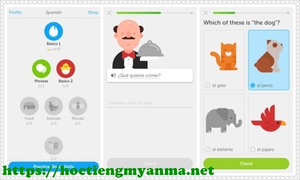 Học tiếng Ph&aacute;p với Duolingo hiệu quả